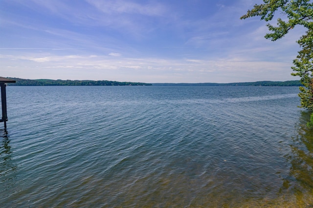 view of water feature