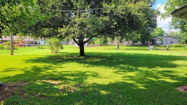  - photo 21