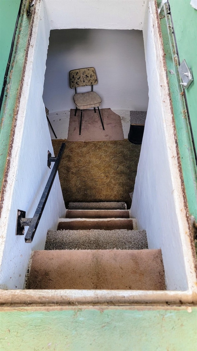  - photo 18