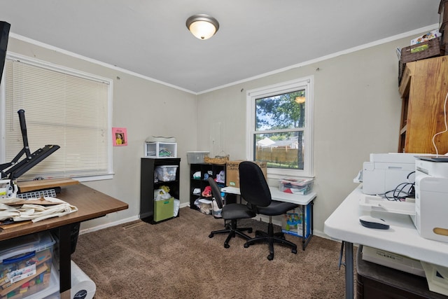 carpeted office with crown molding