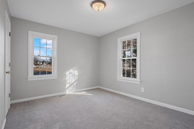 spare room with carpet floors