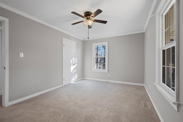 carpeted empty room featuring crown molding, ceiling fan, and a textured ceiling