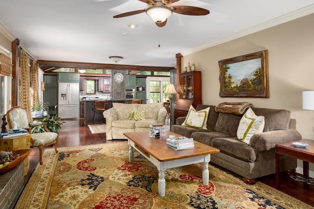  - living room featuring ornamental molding, dark wood-type flooring, and a ceiling fan