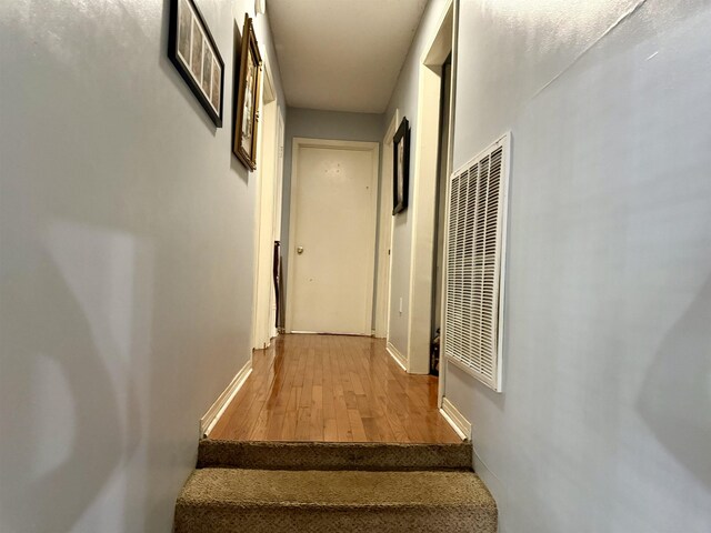  - photo 13