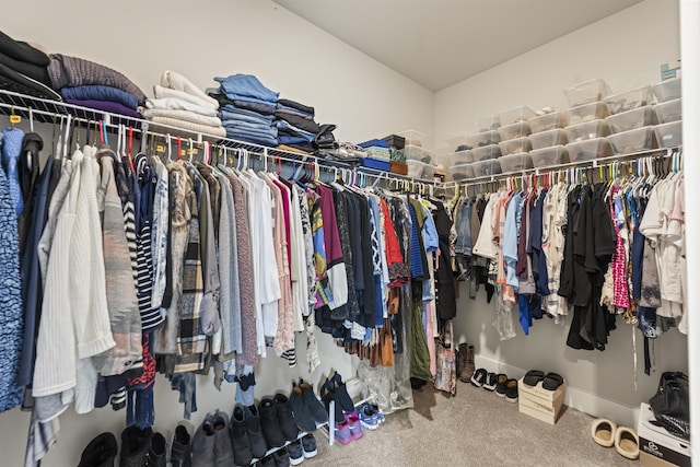  - walk in closet featuring carpet flooring