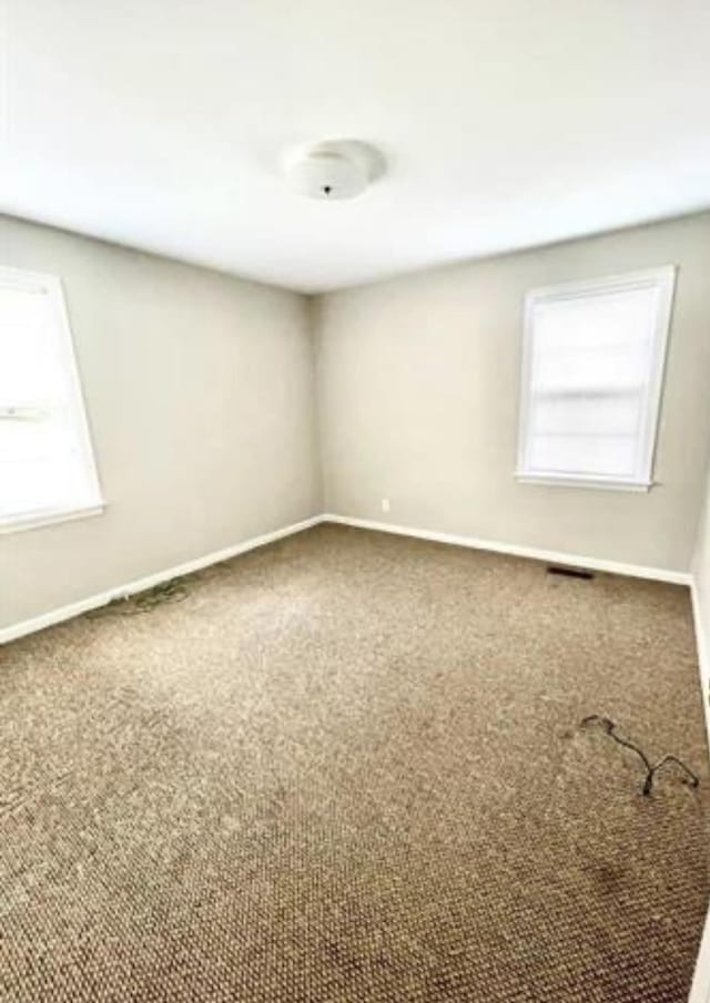 carpeted empty room featuring a wealth of natural light