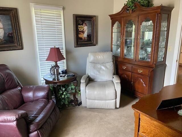  - living area with light carpet