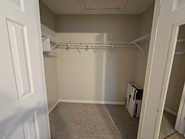 walk in closet featuring dark colored carpet