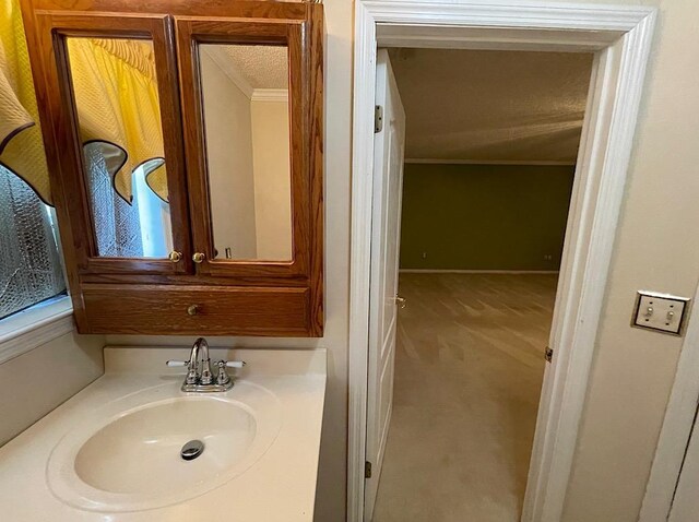 bathroom with vanity, crown molding, and a textured ceiling