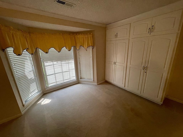 interior space with crown molding, a textured ceiling, light carpet, and a closet