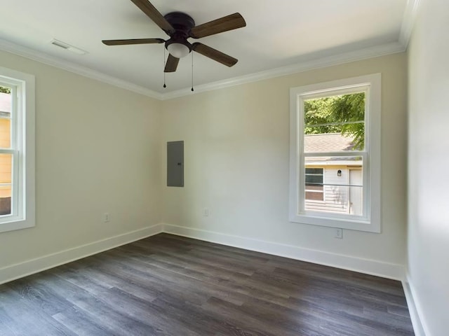 empty room featuring ceiling fan, plenty of natural light, dark hardwood / wood-style floors, and electric panel