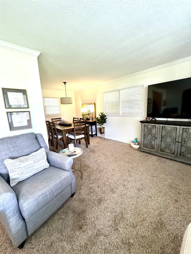 living room with carpet flooring, a textured ceiling, and ornamental molding