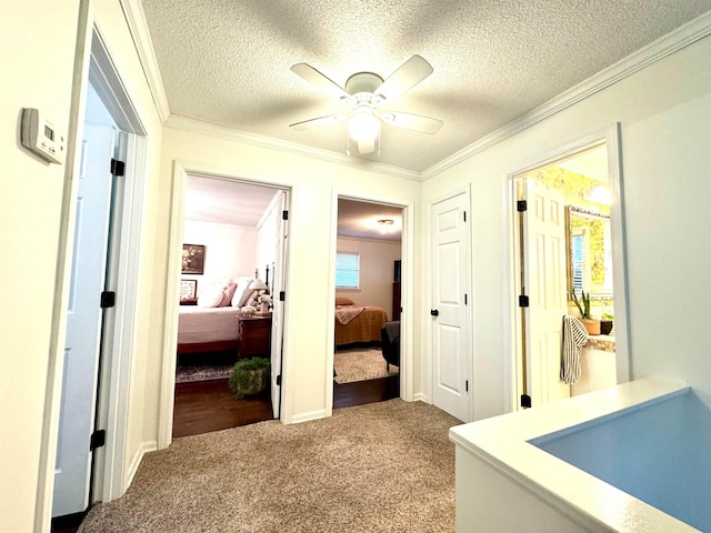 hallway with a textured ceiling, light colored carpet, and crown molding