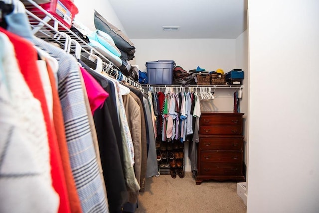 spacious closet with light colored carpet