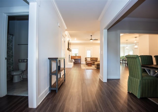 hall featuring ornamental molding and dark wood-type flooring