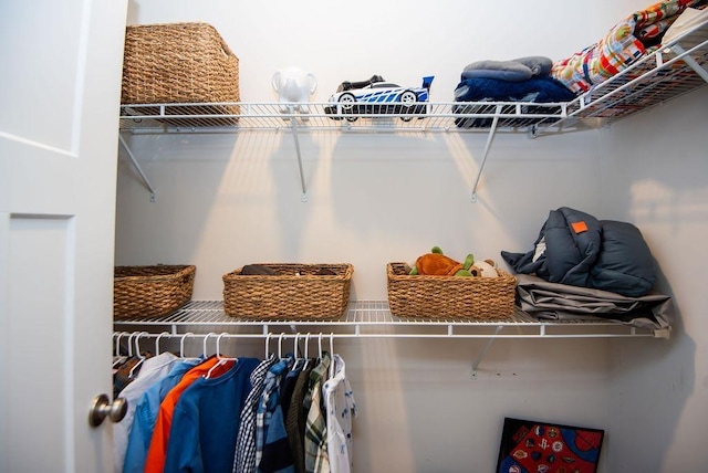 view of spacious closet