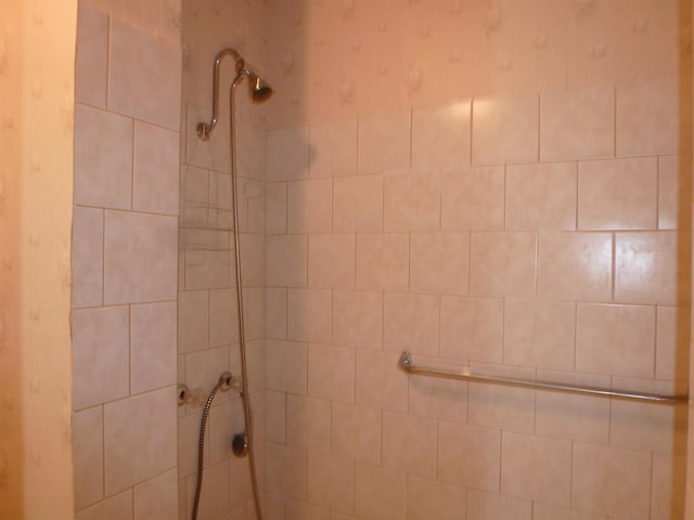 - bathroom view of a tile shower