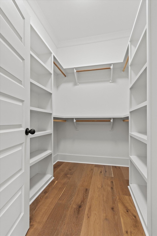 spacious closet with hardwood / wood-style flooring