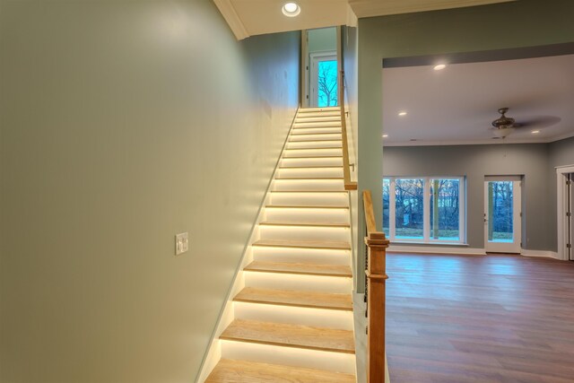 staircase with crown molding, wood-type flooring, and ceiling fan