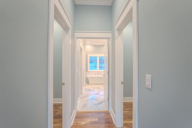 hallway featuring ornamental molding and light wood-type flooring