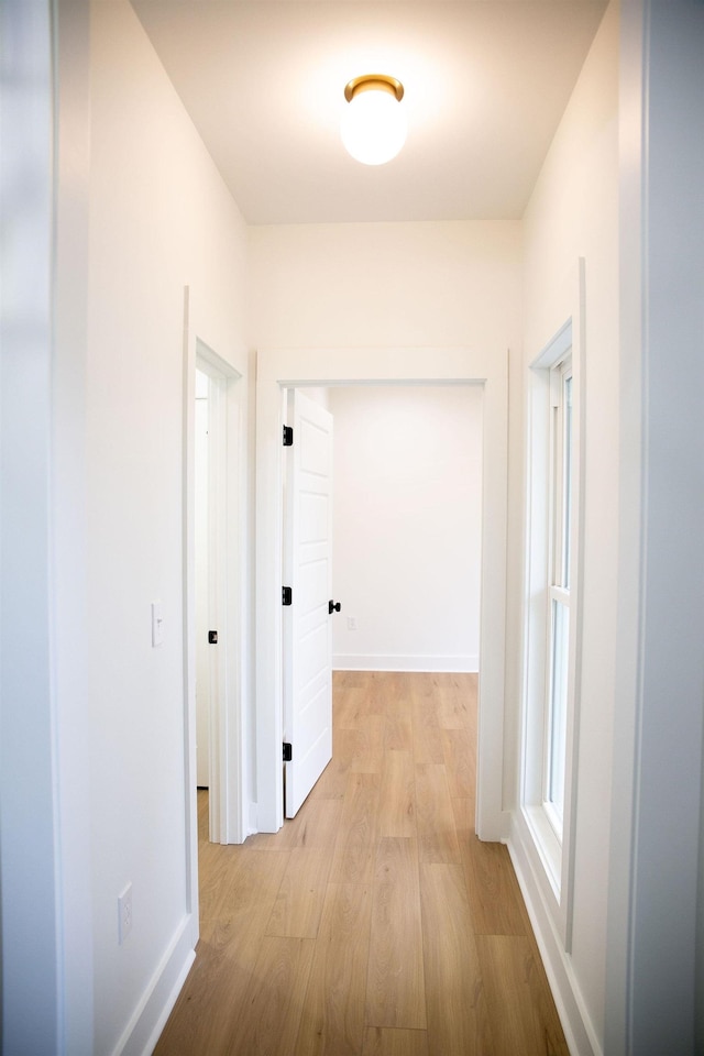 hallway with light hardwood / wood-style flooring