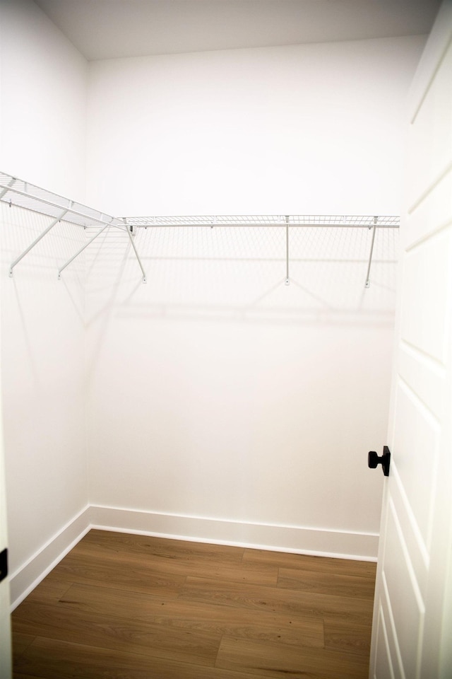 spacious closet with dark wood-type flooring