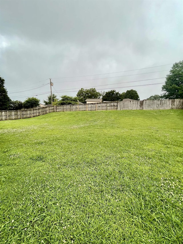  - view of yard