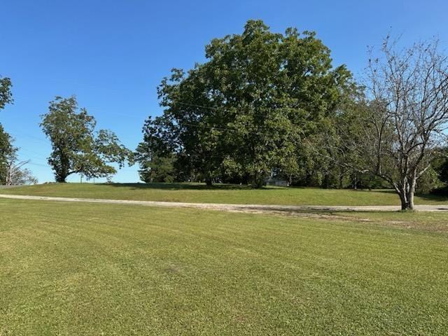 view of property's community with a yard