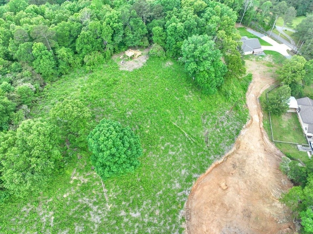  - aerial view of property and surrounding area