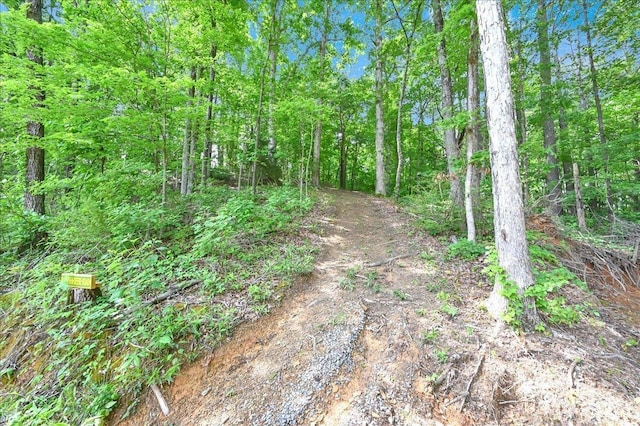  - view of wooded area