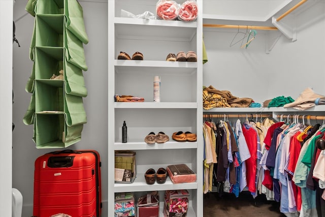 view of spacious closet