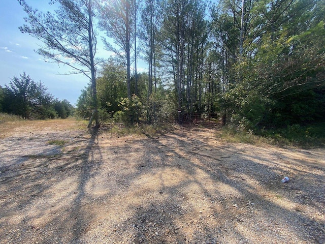 25ACRES Frankfort Rd, Russellville AL land for sale