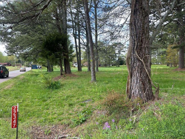  - photo 5
