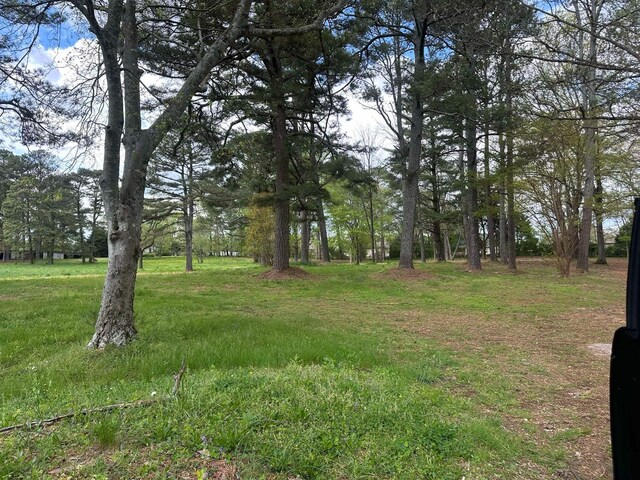  - photo 6