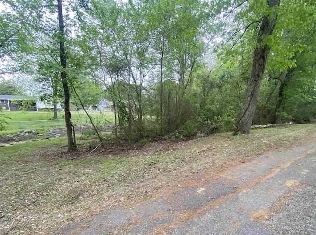 Listing photo 3 for 0 Brown Dr, Cullman AL