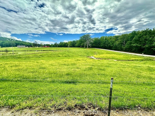  - photo 49