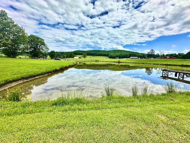  - photo 47