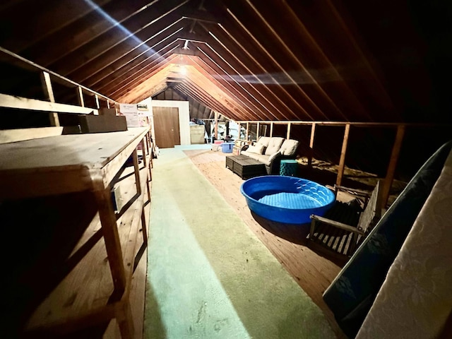  - photo 43