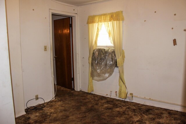  - photo 10