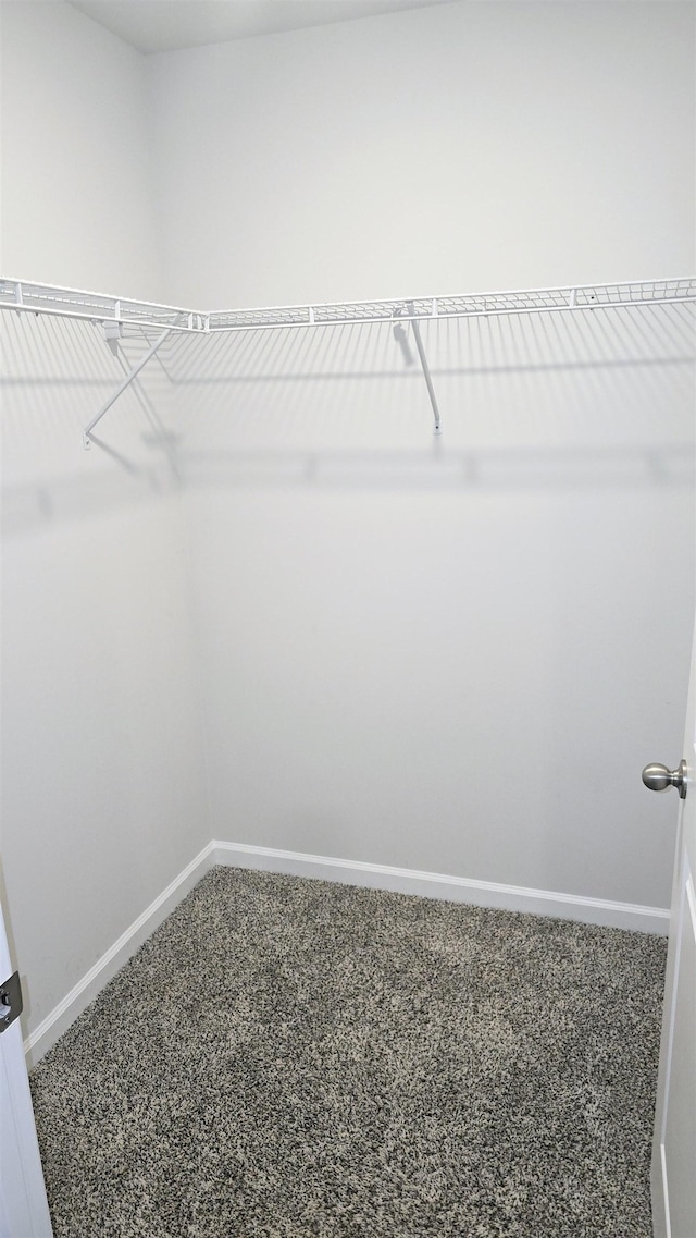 walk in closet with carpet