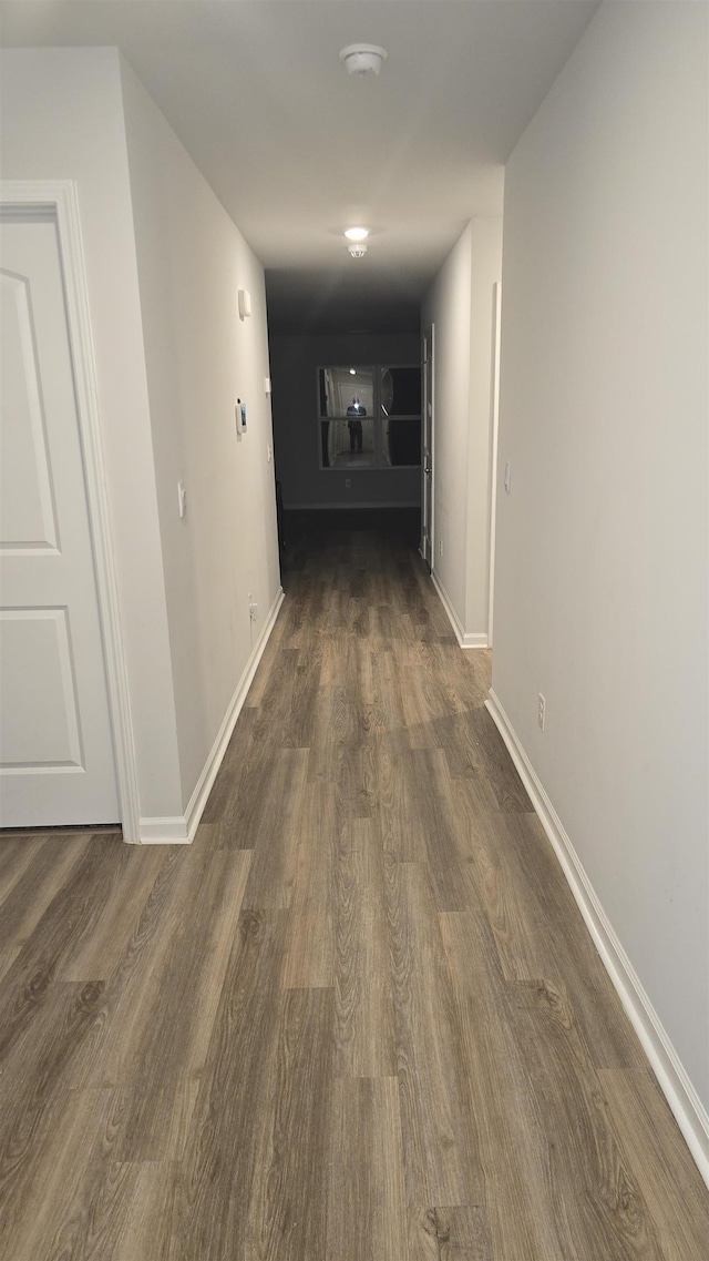 hallway featuring dark hardwood / wood-style flooring