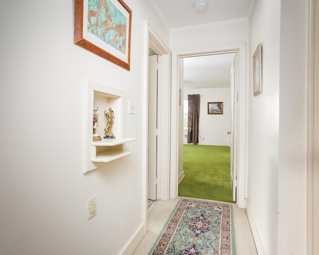  - hall featuring light colored carpet, baseboards, and ornamental molding