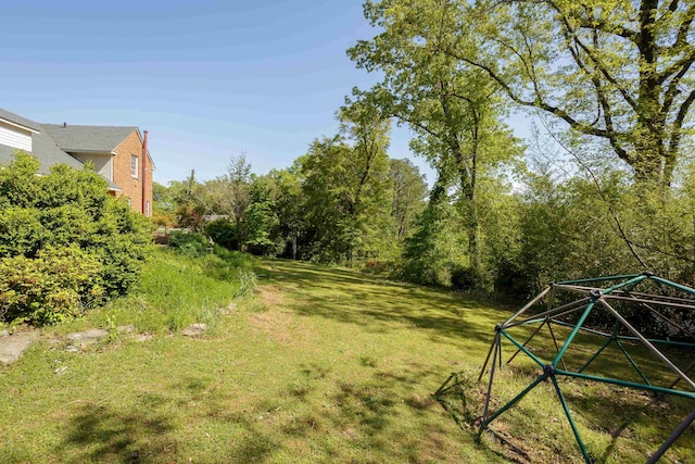  - view of yard