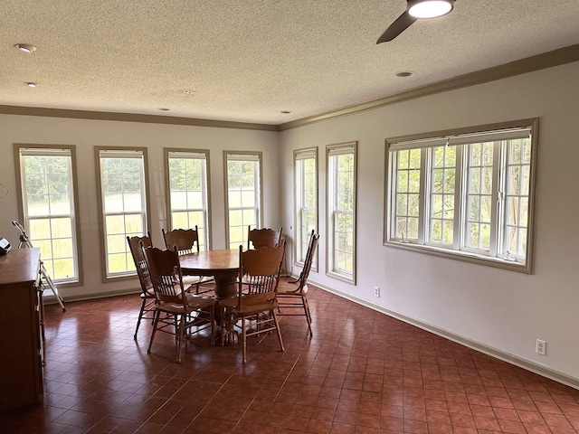  - dining space featuring a textured ceiling, healthy amount of natural light, a ceiling fan, and ornamental molding