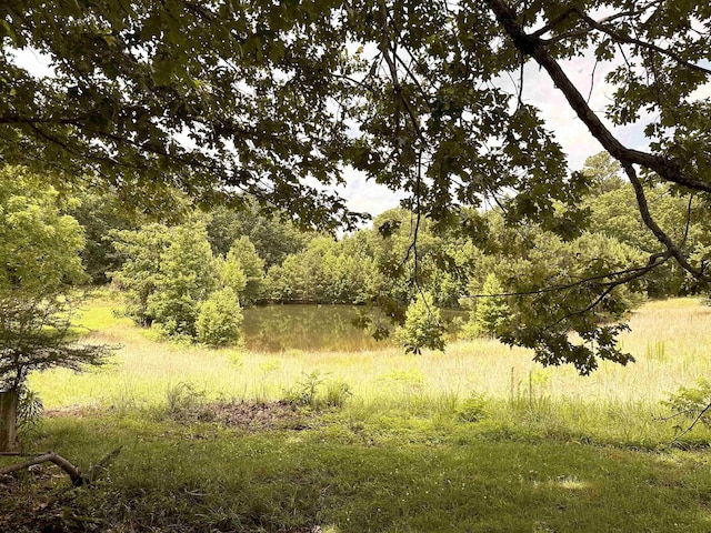  - view of woods