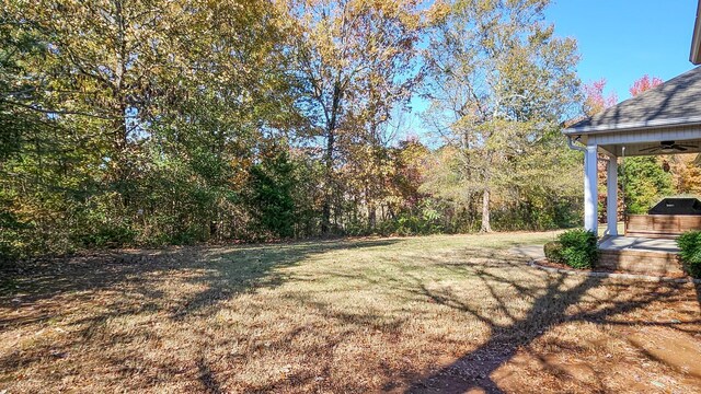 view of yard with ceiling fan