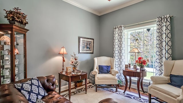 living area with crown molding