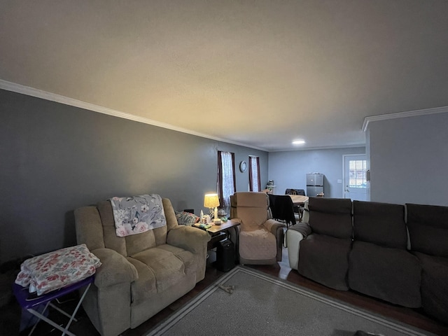 living room featuring ornamental molding