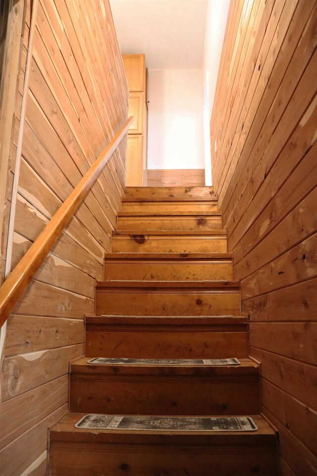  - photo 27