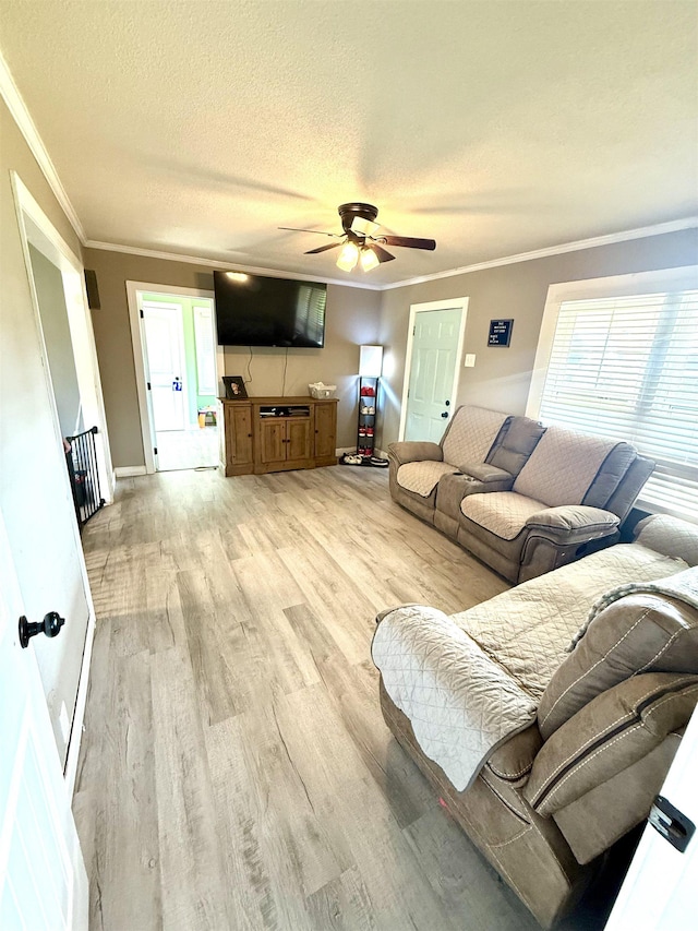  - living area featuring a ceiling fan, light wood-style flooring, crown molding, a textured ceiling, and baseboards